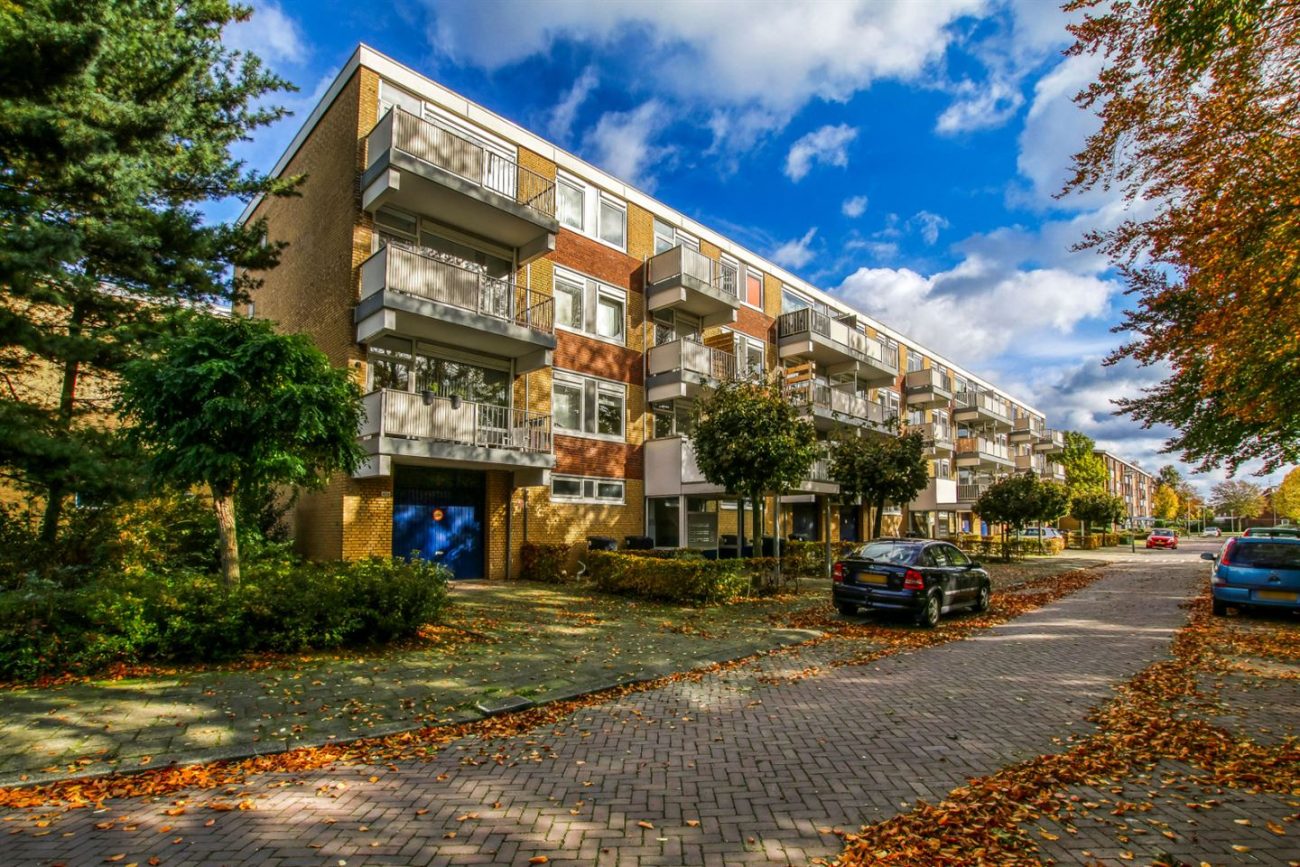 Narcissenstraat 100